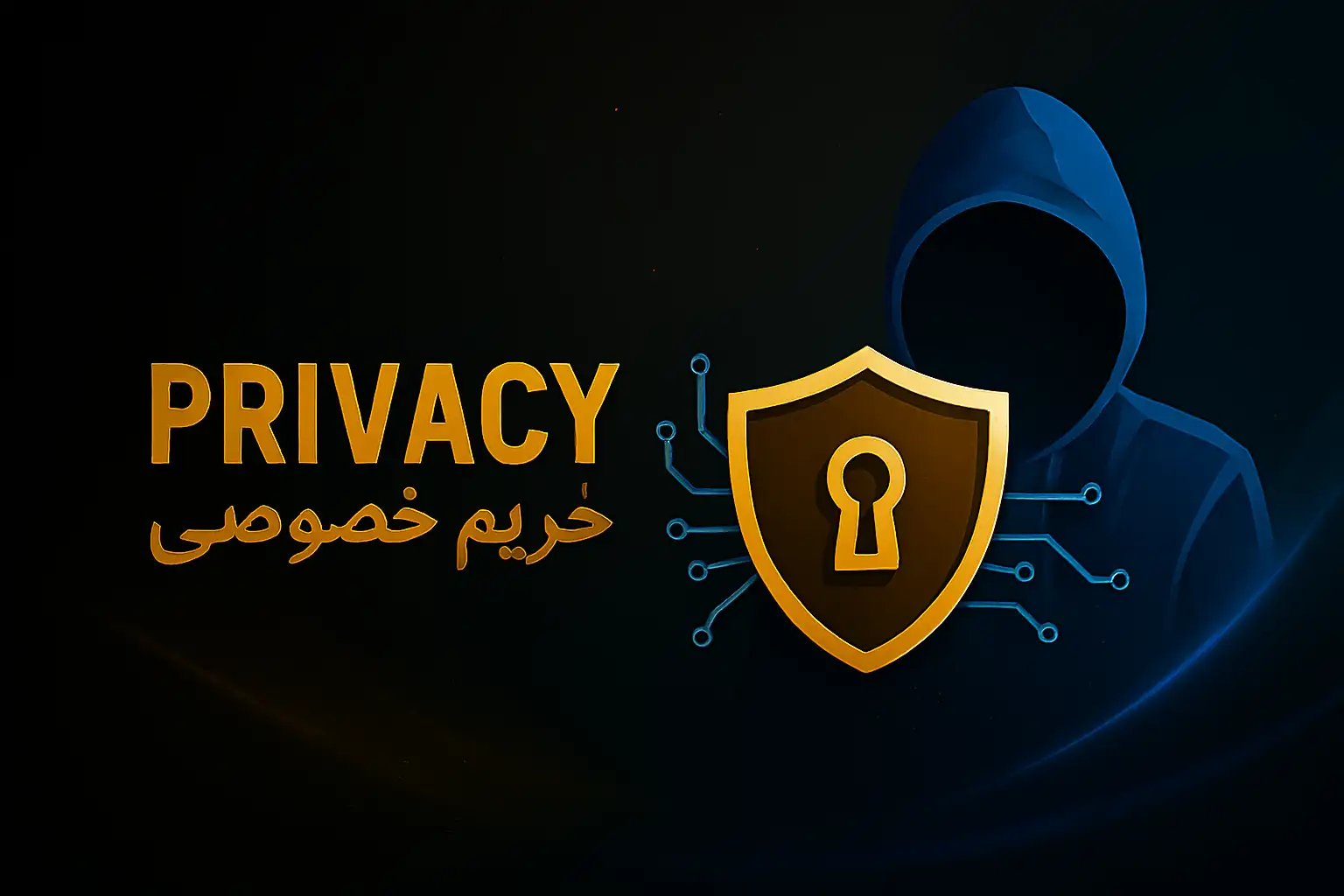 حریم خصوصی دیجیتال